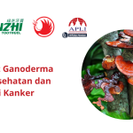 Manfaat Ganoderma bagi Kesehatan dan Anti Kanker