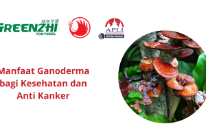 Manfaat Ganoderma bagi Kesehatan dan Anti Kanker