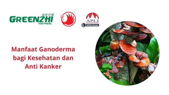 Manfaat Ganoderma bagi Kesehatan dan Anti Kanker